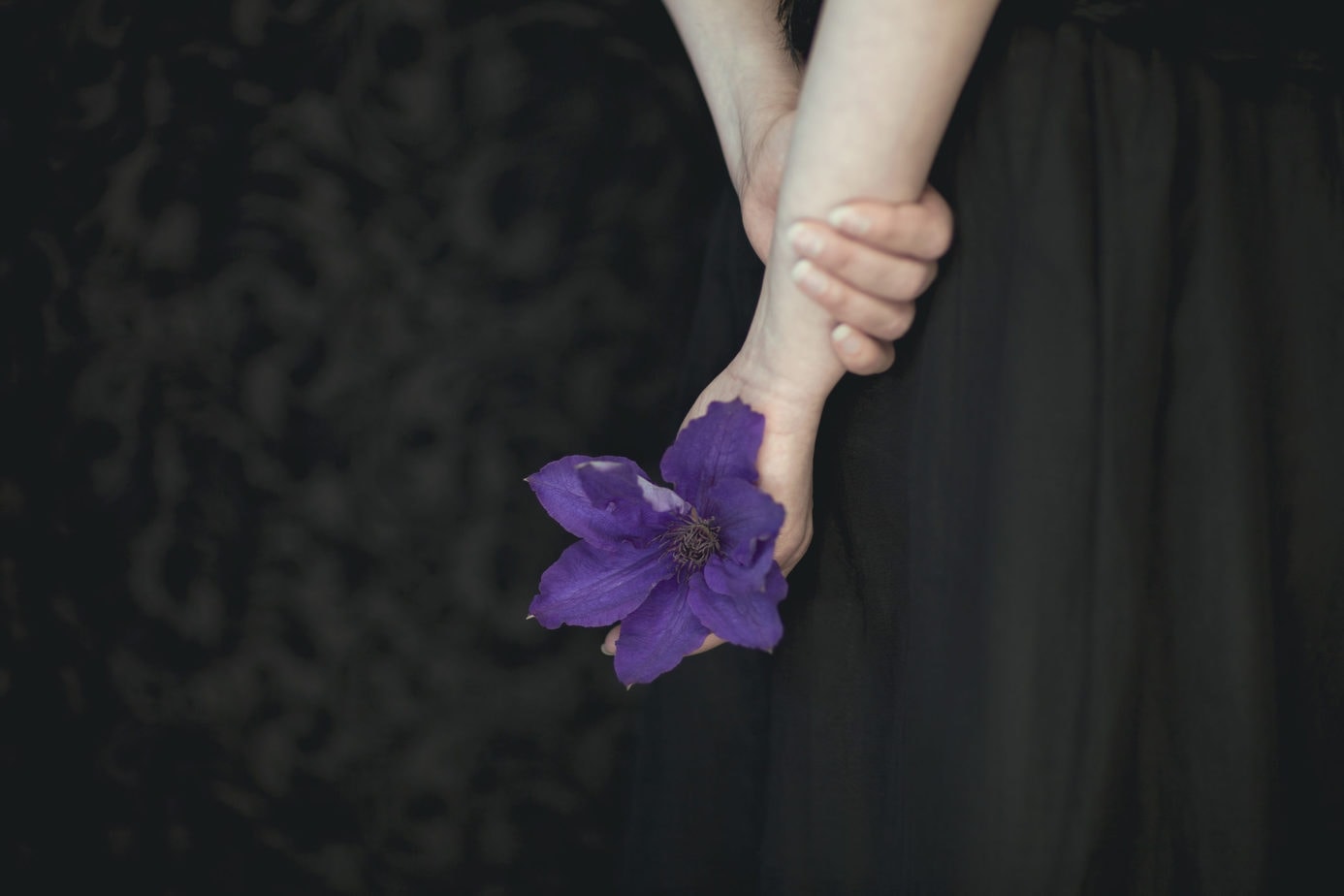 Trauerblume Hand mit lila Trauerblume